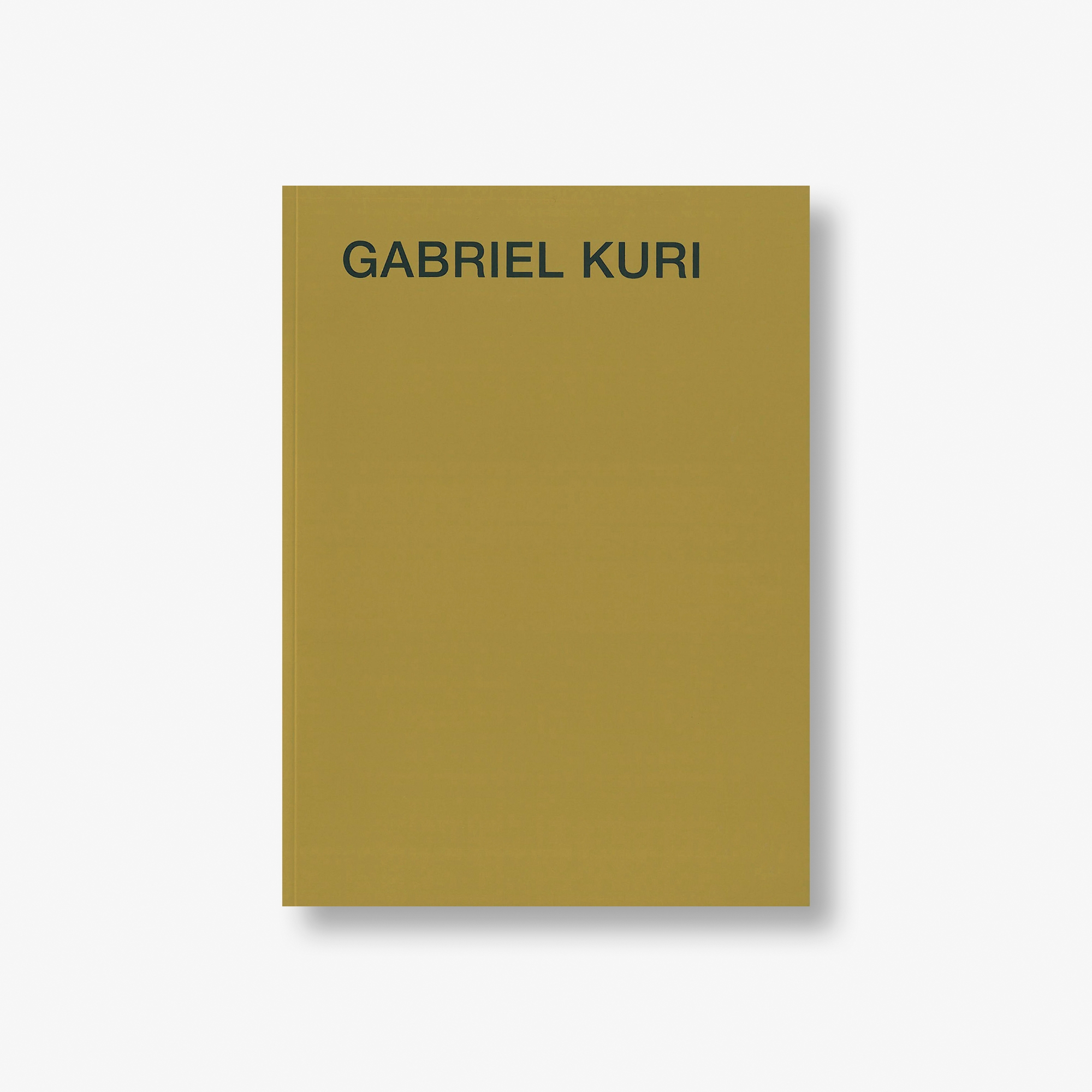 Gabriel Kuri