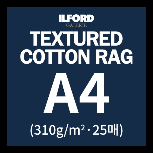 신지스튜디오클럽