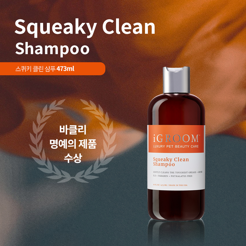스퀴키 클린 샴푸 16oz(473ml)아이그룸 샴푸