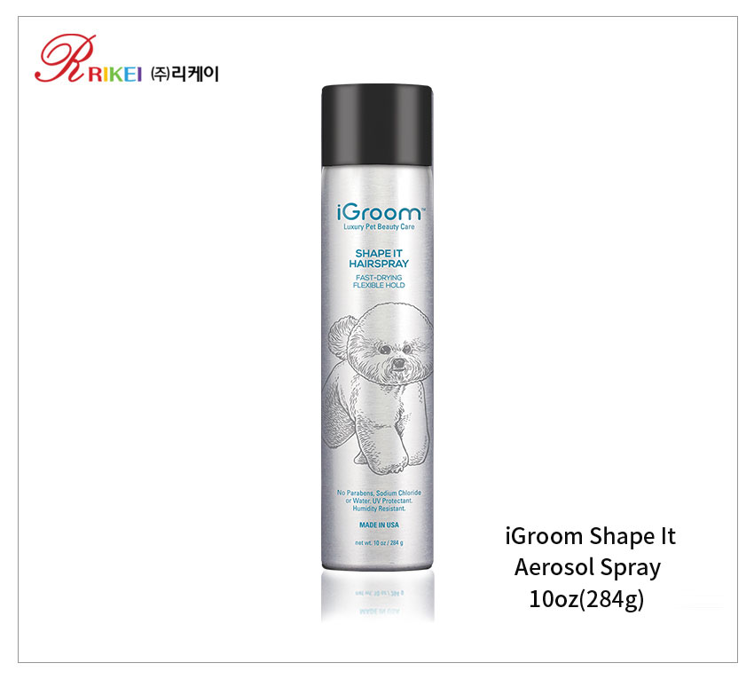 iGroom 셰이프잇 헤어 스프레이 (283g)아이그룸 스프레이