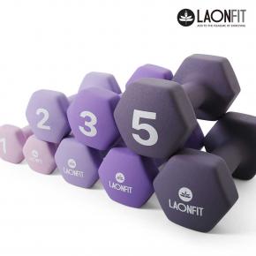 라온핏 아령 1set 육각 덤벨 홈트레이닝 근력운동