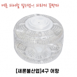 피라미 채집 사구어항