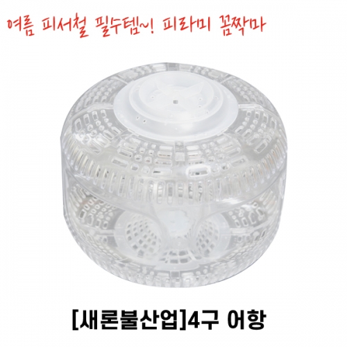 피라미 채집 사구어항