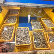 오션프렌즈 살아있는 모둠조개 세트 프리미엄 조개 세트 3KG 산지직송 프레시팩 산소포장 조개구이 조개찜 캠핑조개세트 추천