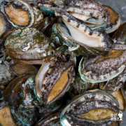 산지직송 활전복 1kg 택배 배송 – 집에서 즐기는 프리미엄 보양식