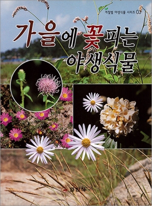 계절별 야생식물 시리즈 3.<BR> 가을에 꽃피는 야생식물