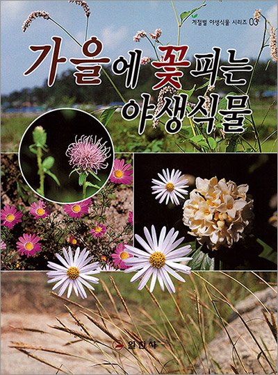 계절별 야생식물 시리즈 3.<BR> 가을에 꽃피는 야생식물