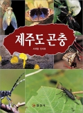 제주도 자연 생태시리즈 4.<BR> 제주도 곤충