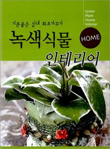 녹색식물 인테리어