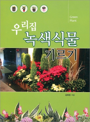 우리집 녹색식물 기르기