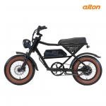 25파이톤16 48V 500W (PAS&THROTTLE) 전기자전거