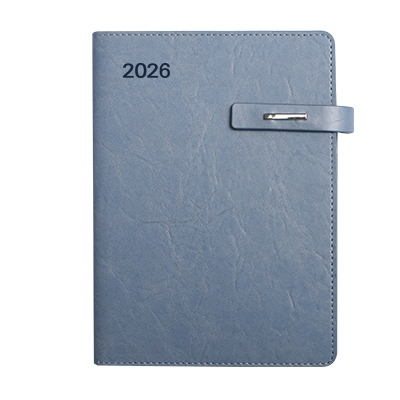 (품절)뉴벨라 블루 링크특안식-PPG2534-1