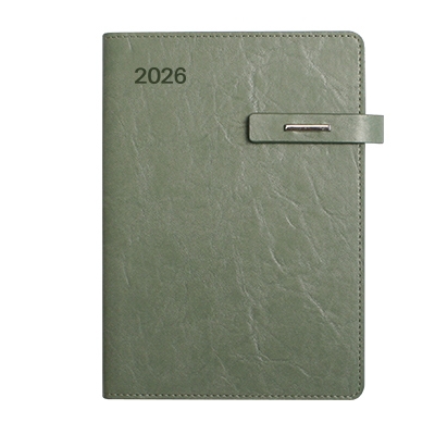 (품절)뉴벨라 그린 링크특안식-PPG2533-1