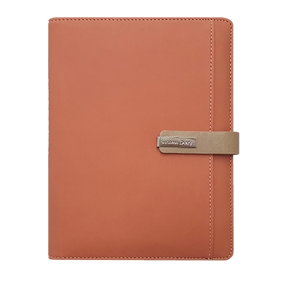 스타 캐롯 시스템 -PPS3253