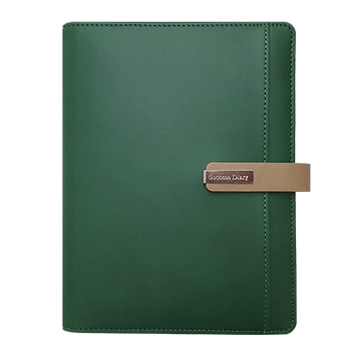 스타 그린 시스템 -PPS3252