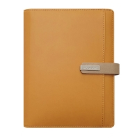 스타 엘로우 시스템 -PPS3251