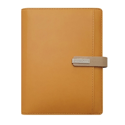 스타 엘로우 시스템 -PPS3251