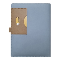 스타 블루 시스템 -PPS3250