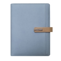 스타 블루 시스템 -PPS3250