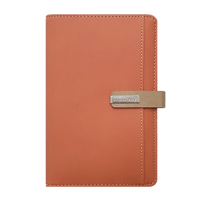 스타 캐롯 시스템 -PPS4053