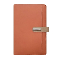 스타 캐롯 시스템 -PPS4053