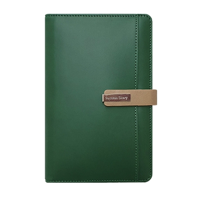 스타 그린 시스템 -PPS4052