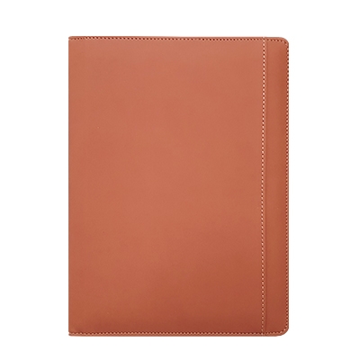 스타 캐롯 특안식 -PPG3253