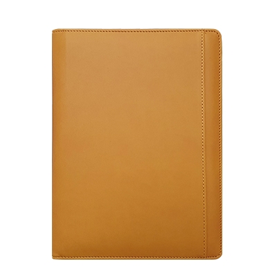 스타 엘로우 특안식 -PPG3251