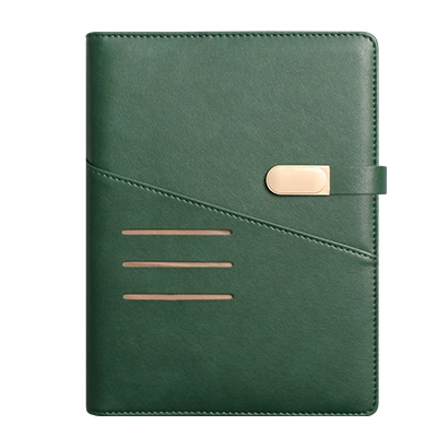 파워 그린 시스템 -PPS2561