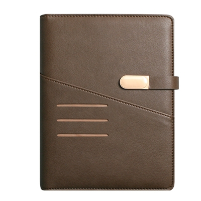 파워 브라운 시스템 -PPS2560