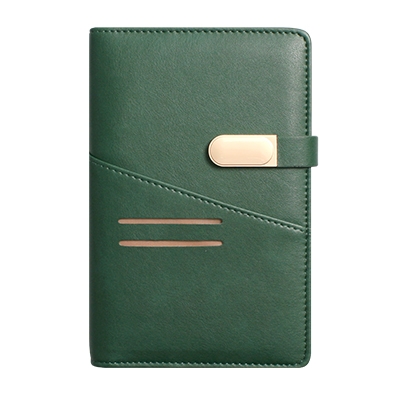 파워 그린 시스템 -PPS4061