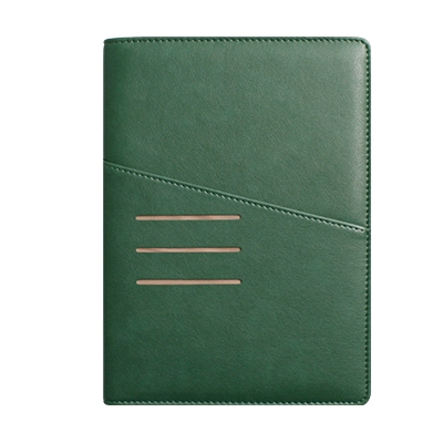 파워 그린 특안식 -PPG2561