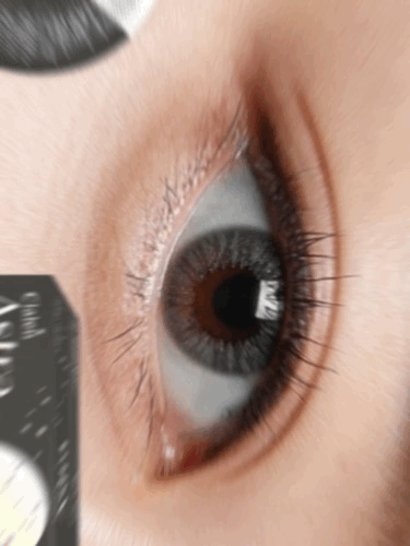 Clalen 1Day color클라렌 원데이 아스트라 에스텔 그레이 30P하루용 컬러렌즈/13.0mm