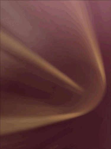 알콘 데일리스 토탈원 워터렌즈 (30개)하루사용 투명렌즈/근시용