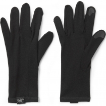 아크테릭스 고딕 글러버/Gothic