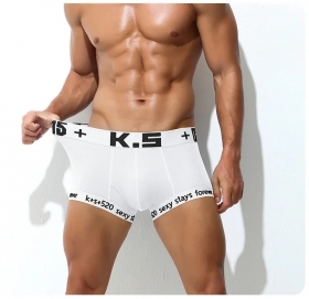 [GT] Boxer Briefs (1923-PJ)