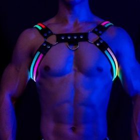 [GT] 야광 HARNESS