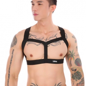 [GT] BRA HARNESS