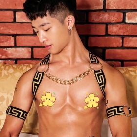 [GT] GOLD HARNESS