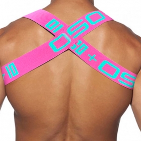 [GT] X HARNESS