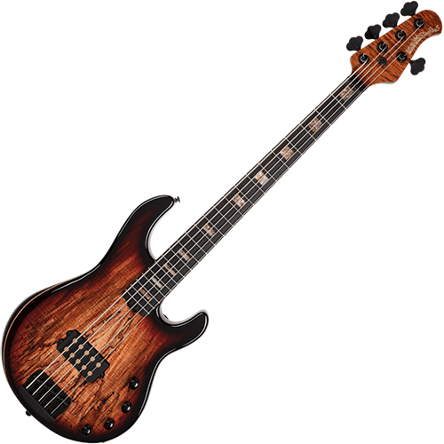 [35주년 리미티드에디션!!] Music Man 베이스 StingRay 5 35th Anniversary (245-35V-35-00)