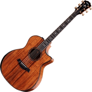 [전 세계 74대 한정판] Taylor 어쿠스틱기타 50th Anniversary 924ce-K LTD