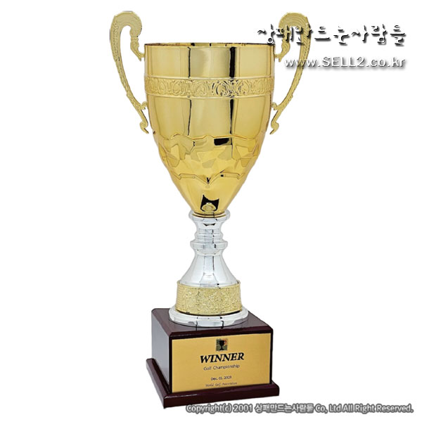 JT 2-8-2 메디치프라임