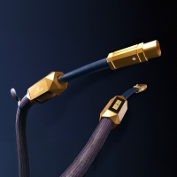 Siltech(실텍) Master XLR,RCA Cable