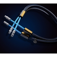 Siltech(실텍) Double Crown XLR,RCA Cable