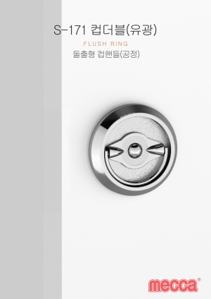 S-171 유광