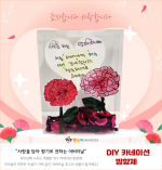 DIY카네이션방향제