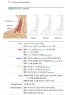 한 손에 잡히는 트리거포인트