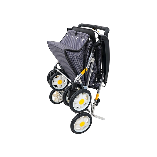 BFSC-01