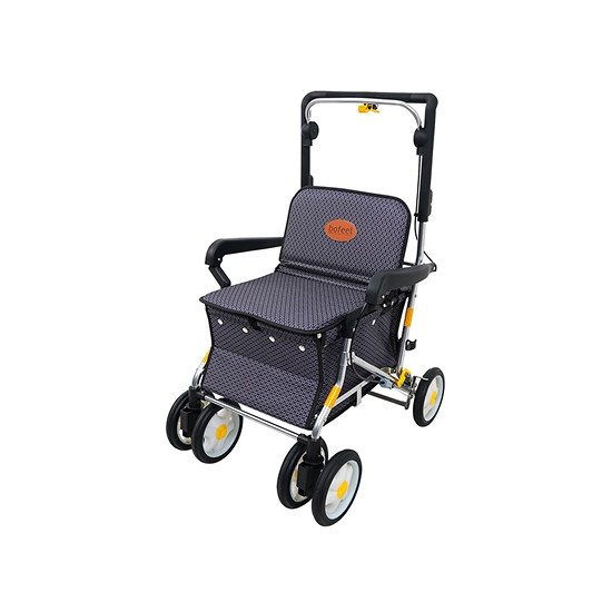 BFSC-01